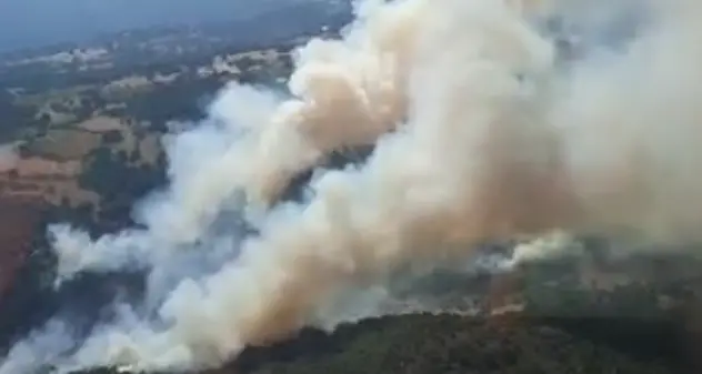È doloso l'incendio che ha distrutto le sugherete a Sorgono