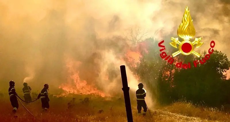 Vasto incendio a Padru: sul posto elicotteri e Canadair