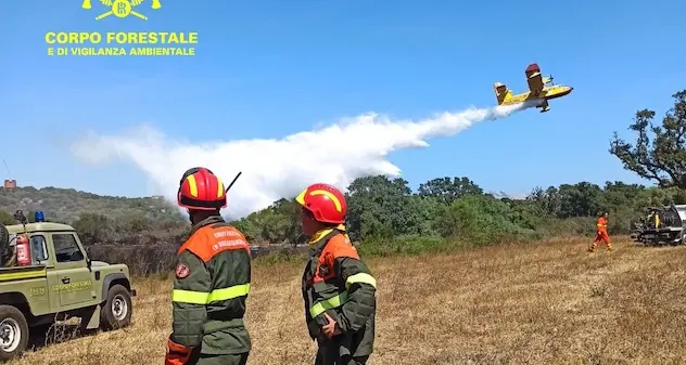 Ancora incendi nell’Isola: diversi fronti aperti nella zona di Olbia