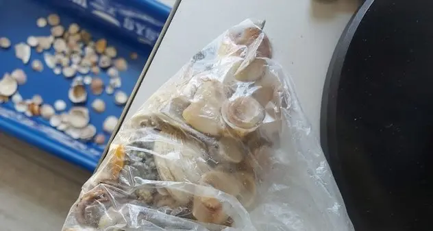Ciottoli e conchiglie nello zaino, nei guai due crocieristi tedeschi