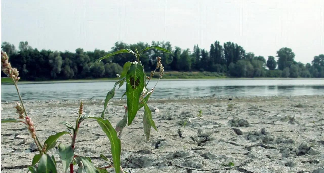 Clima: 'tropicalizzazione' Italia non si arresta, fenomeni +130% in primi 6 mesi 2023