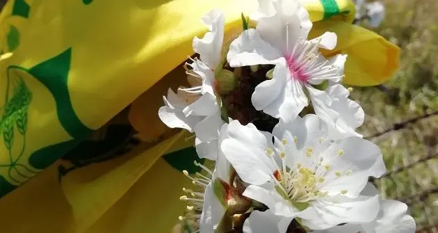 Agricoltura, è allarme gelate. Demurtas: “Una brutta notizia in un periodo pessimo per tutti”
