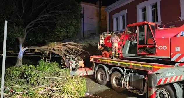 Forte vento a Cagliari: grosso ramo su un’auto in sosta