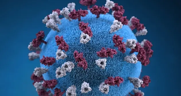 Coronavirus, sono 530 i casi di positività in Sardegna