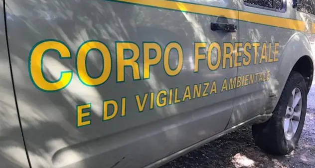 Campeggio abusivo: 11 sanzioni a Tertenia e a Cardedu