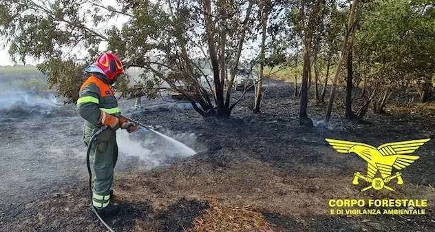 Fiamme a Escolca e Bari Sardo, intervengono gli elicotteri