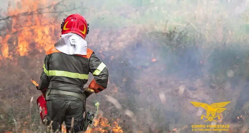 Fiamme in Sardegna: oggi 14 incendi, elicottero a Baratili San Pietro