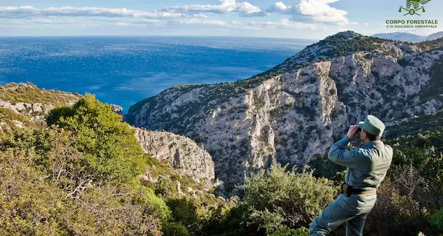 Giornata “tranquilla” sul fronte degli incendi in Sardegna