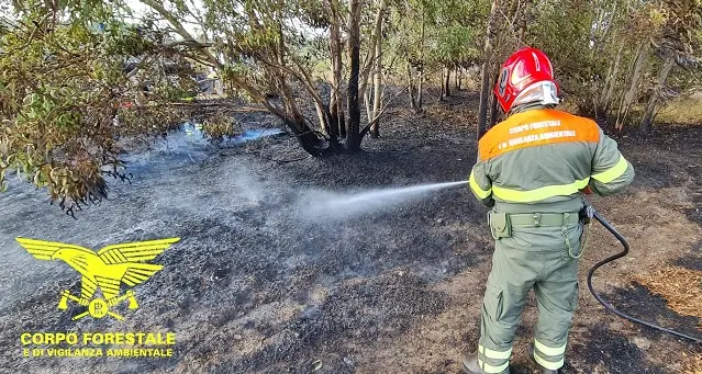 Incendio a Orani, sul posto un elicottero del Corpo forestale