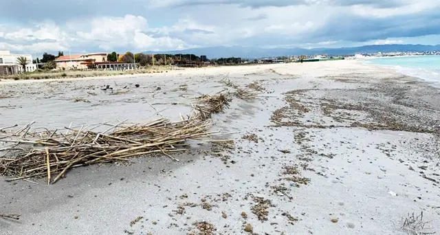 Il Poetto ai tempi del Coronavirus, “la natura è potente e resiliente”. Il post del docente Sandro Demuro: “Andrà assolutamente bene”