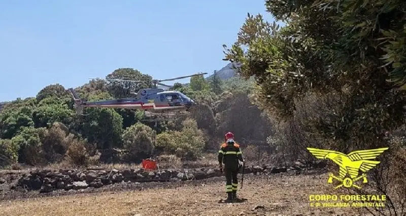 Incendi: sei roghi in Sardegna, elicottero vola a Orotelli