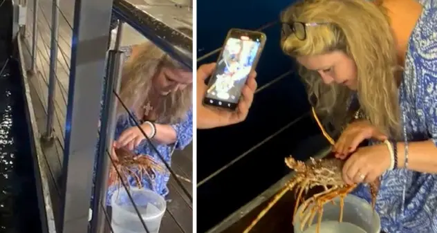 Turista compra aragosta in un ristorante a Golfo Aranci per liberarla in mare