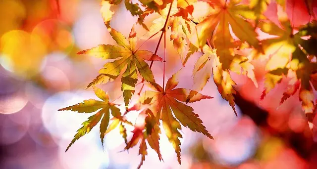 Meteo Sardegna. Arriva l'autunno: un ciclone mette fine a caldo e sole