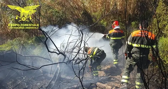 Oggi in Sardegna 17 incendi: paura a Sestu e Santa Giusta