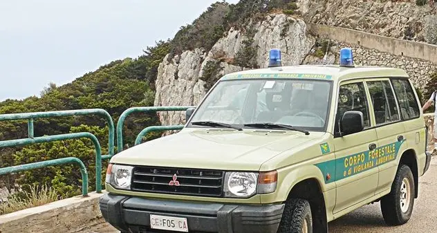 Coronavirus. Nuovi controlli della Forestale: ieri 16 sanzionati