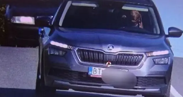 Cane al volante “sorride” all'autovelox: la foto diventa virale