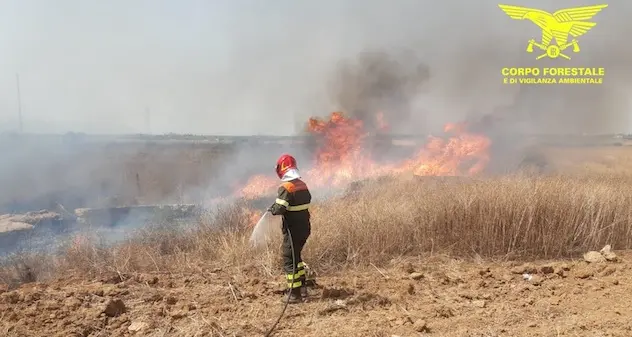 Ancora incendi in Sardegna: elicotteri a Nurri e Serramanna