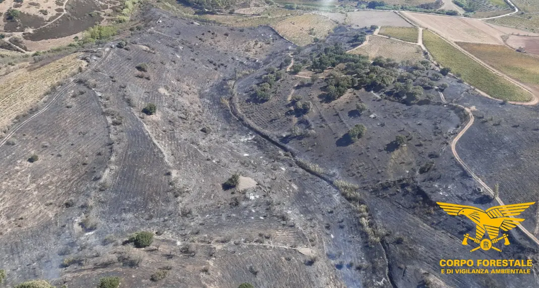 Oggi in Sardegna 15 incendi, elicotteri in azione in tre località