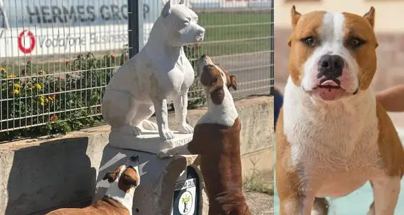 Una statua in ricordo di Joker: la Sardegna nel mondo con il marmo di Orosei