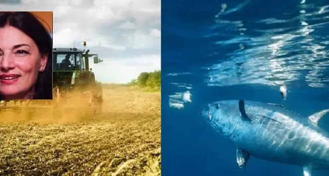 Agricoltura e pesca: arrivano gli aiuti della Regione contro la crisi