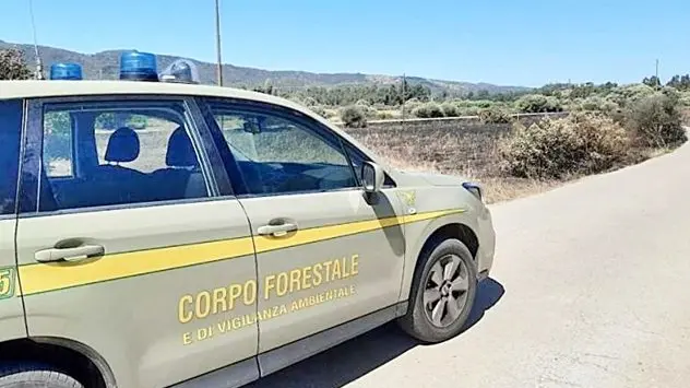 Traffico di armi, droga e bracconaggio: maxi indagini e un arresto a Villa San Pietro