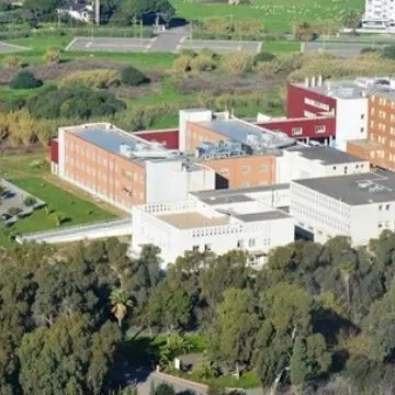 Primo caso umano di Febbre del Nilo a Oristano: un 72enne è in condizioni critiche