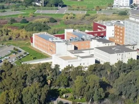 Primo caso umano di Febbre del Nilo a Oristano: un 72enne è in condizioni critiche