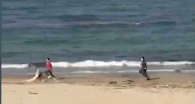 Carabiniere insegue un runner sulla spiaggia: il video diventa virale