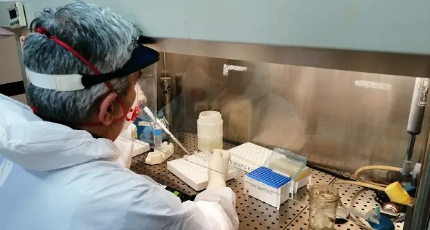 Laboratorio di Microbiologia e Virologia. Aou: “Nessuna contaminazione”