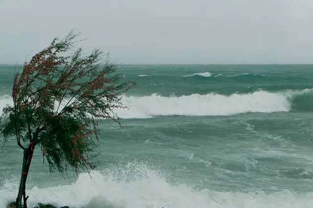 Marina storm scene with sapling bent by the winds, along the southern coast of Puglia,Italy.