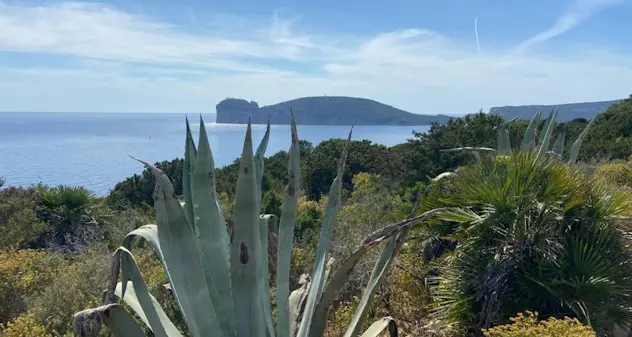 Tutela delle bellezze naturali a Punta Giglio: la Costituente per Sassari appoggia la richiesta di sospensione dei lavori