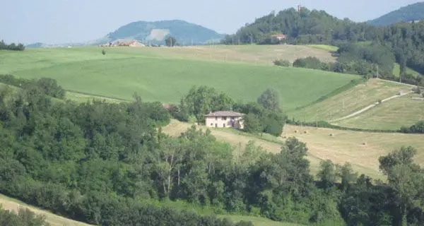 Ardara. Perdono azienda agricola, il paese reagisce e blocca l'esproprio