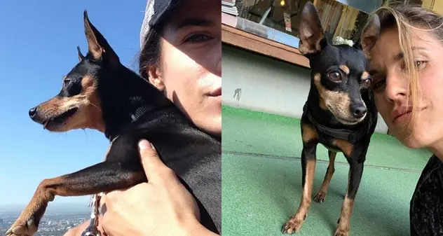 Elisabetta Canalis piange la scomparsa della cagnolina Mia: \"Piccola grande guerriera\"