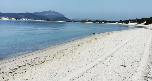Al via la pulizia delle spiagge