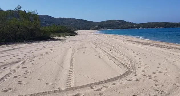 Arzachena. Prosegue la pulizia delle spiagge