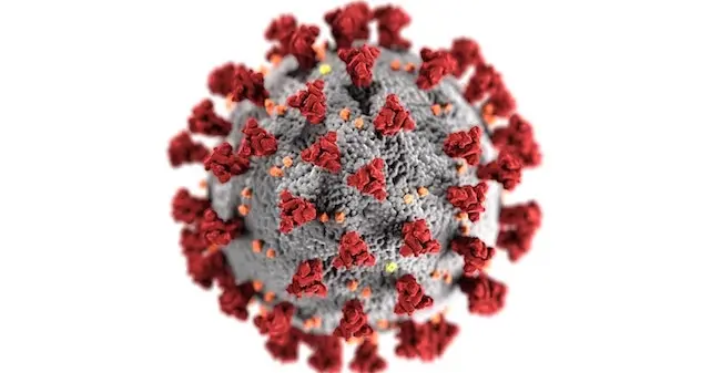 Coronavirus. Aggiornamento dati in Sardegna: sono 1161 i casi positivi, 23 in più