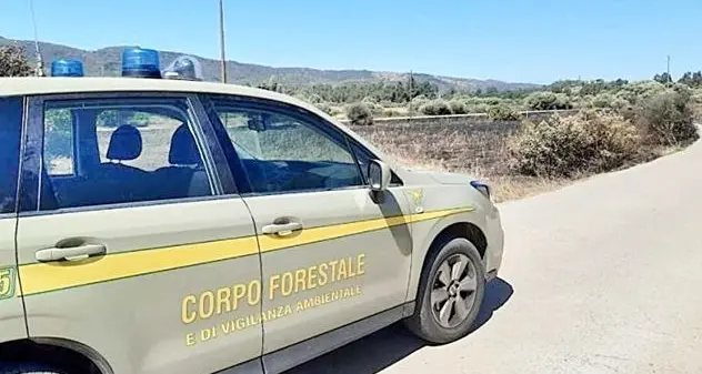 Controlli del Corpo Forestale di Oristano: c’è chi raccoglie asparagi e chi passeggia in spiaggia