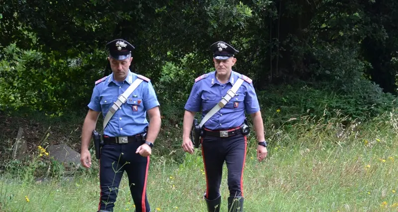 Donori: ruba ortaggi da un campo poi li restituisce, ma il proprietario lo denuncia