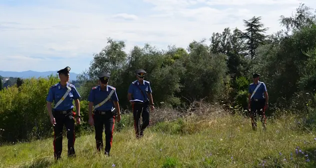 Oltre 5 chili di droga nascosta tra le sterpaglie sequestrata a Serramanna