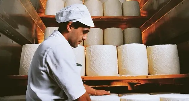 Un semestre da record per il pecorino romano