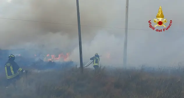 Incendio a Budoni: brucia una parte della pineta di Portu Ainu