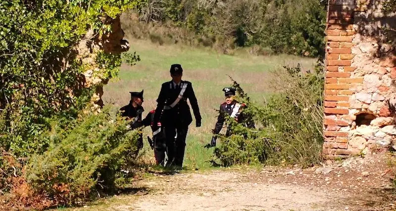 Sardara. Entra in un terreno e fa razzia di fieno: denunciato per furto