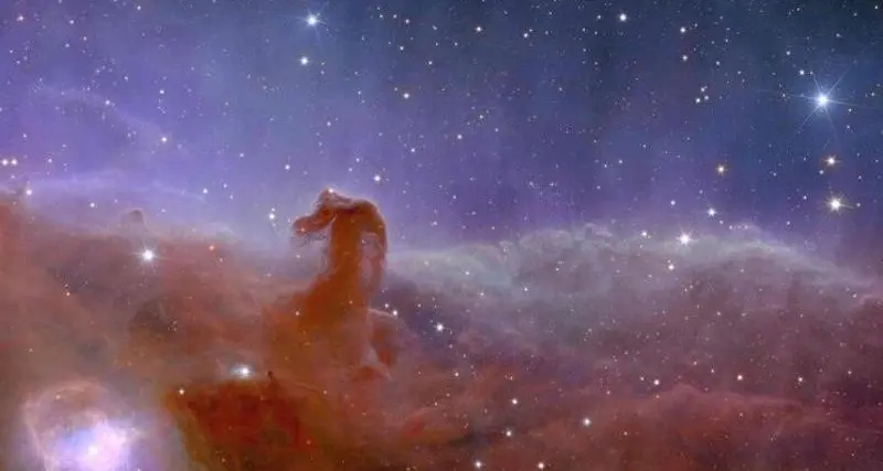Le prime immagini dell'Universo oscuro e lontano: scattate da Euclid