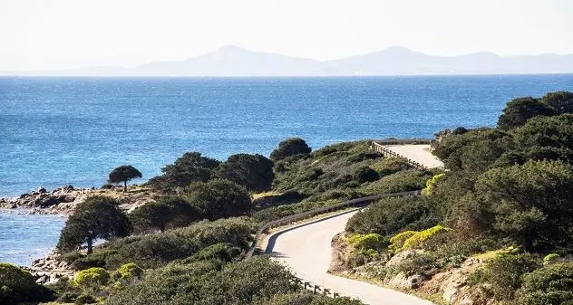 Il lockdown aiuta le spiagge: ossigeno per la biodiversità