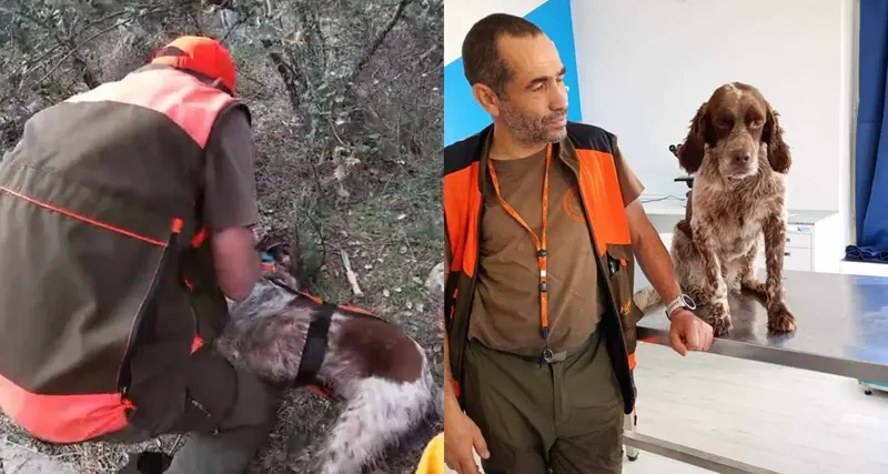 Il cane ha un infarto, cacciatore nuorese gli salva la vita