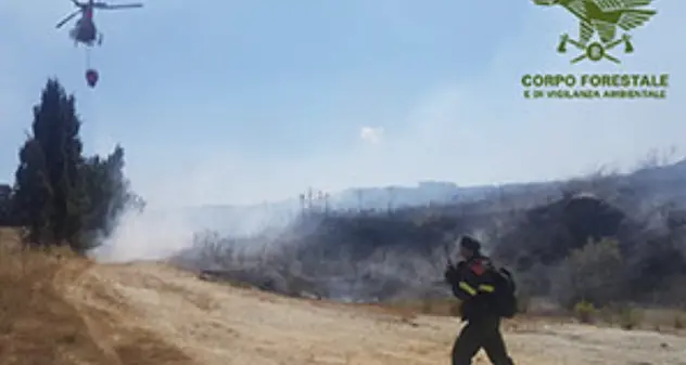 Campagna antincendi 2020: Dal 1 maggio schieramento dei primi 2 mezzi aerei