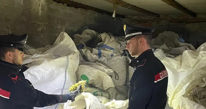 Decimomannu. Maxi sequestro di droga, cinque i sardi arrestati