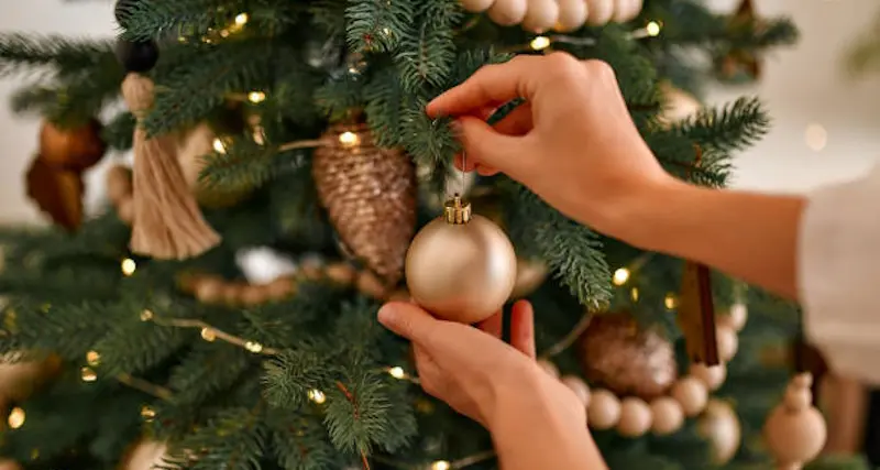 Albero di Natale: origini, storia e leggende