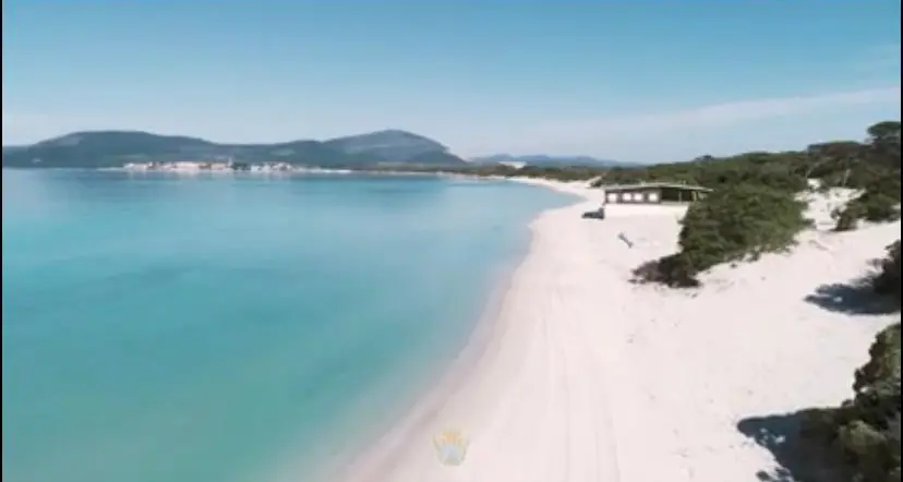 Multata un’avvocatessa prende il sole in spiaggia: “Lei non sa chi sono” avrebbe detto ai carabinieri