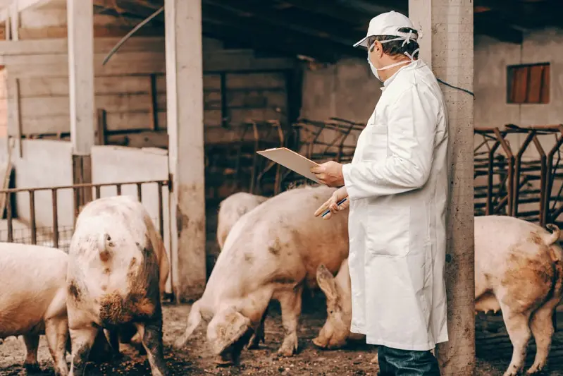 Veterinarian in white coat, hat and protective mask on face holding clipboard and checking on pigs while standing in cote.